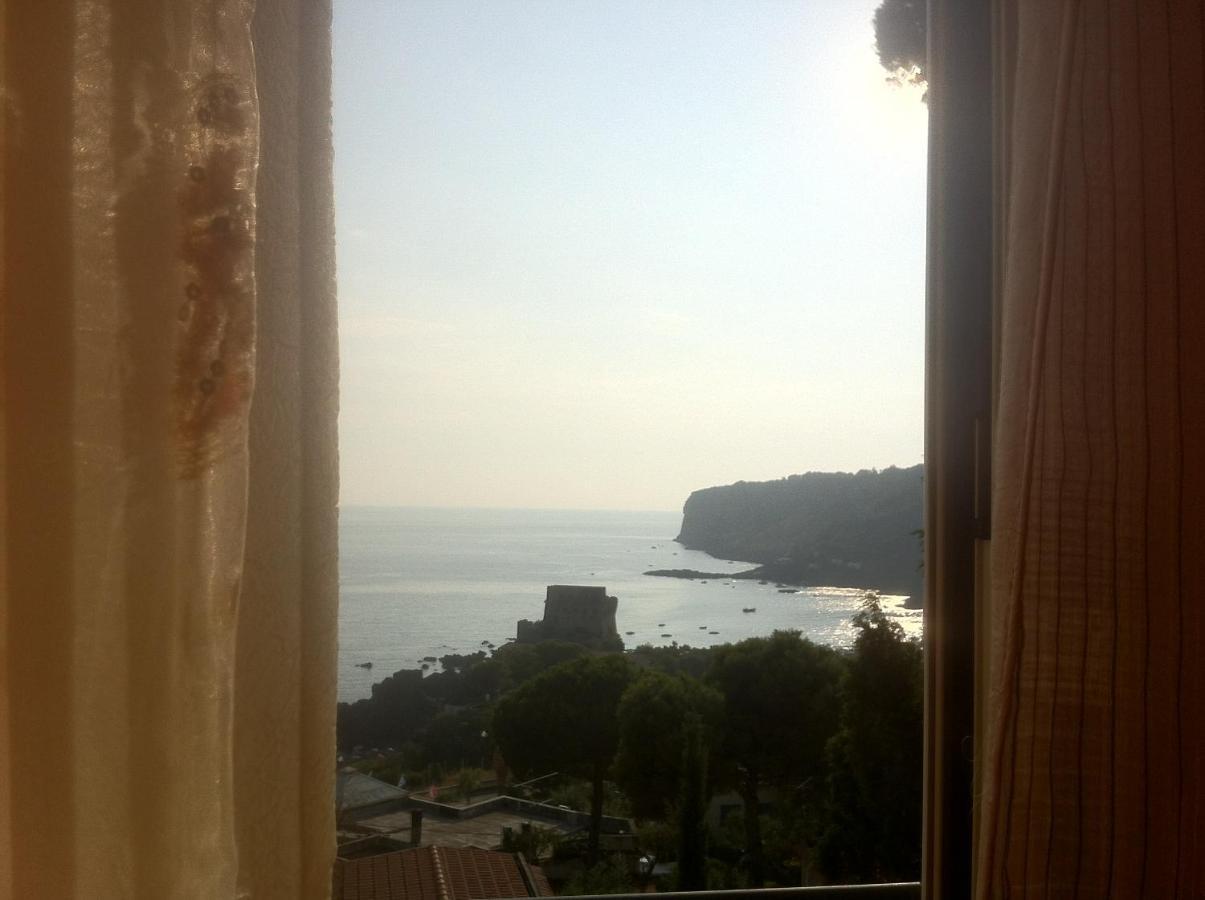 Villa Nappi Bed & Breakfast プラーイア・ア・マーレ エクステリア 写真