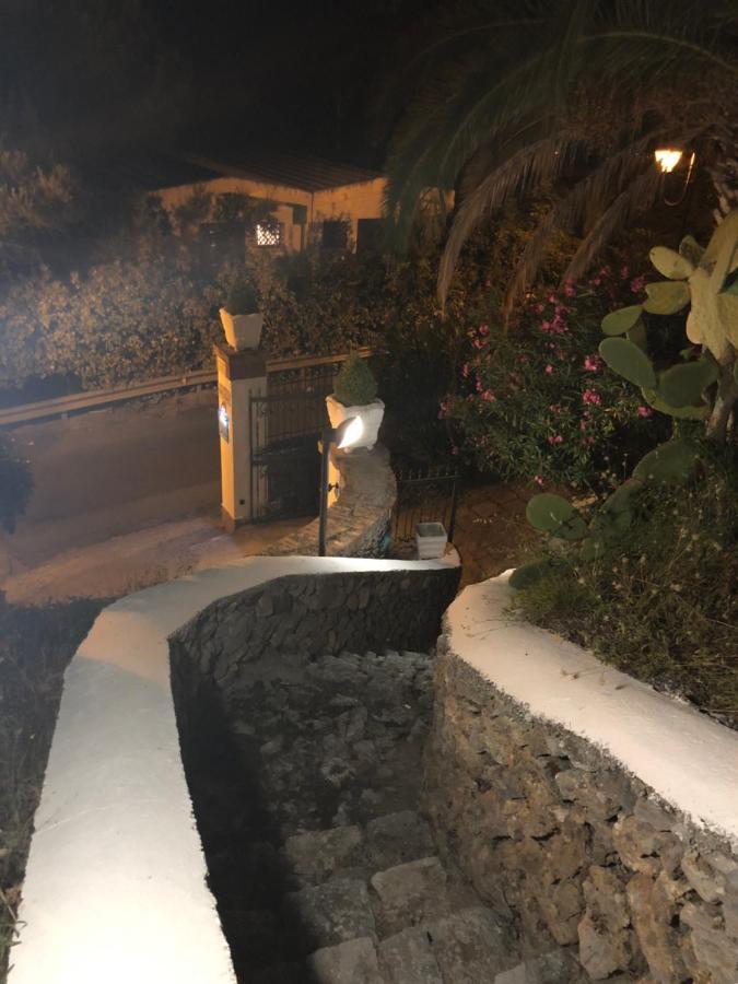 Villa Nappi Bed & Breakfast プラーイア・ア・マーレ エクステリア 写真