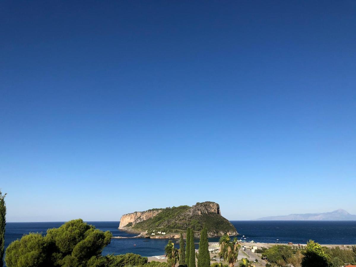 Villa Nappi Bed & Breakfast プラーイア・ア・マーレ エクステリア 写真