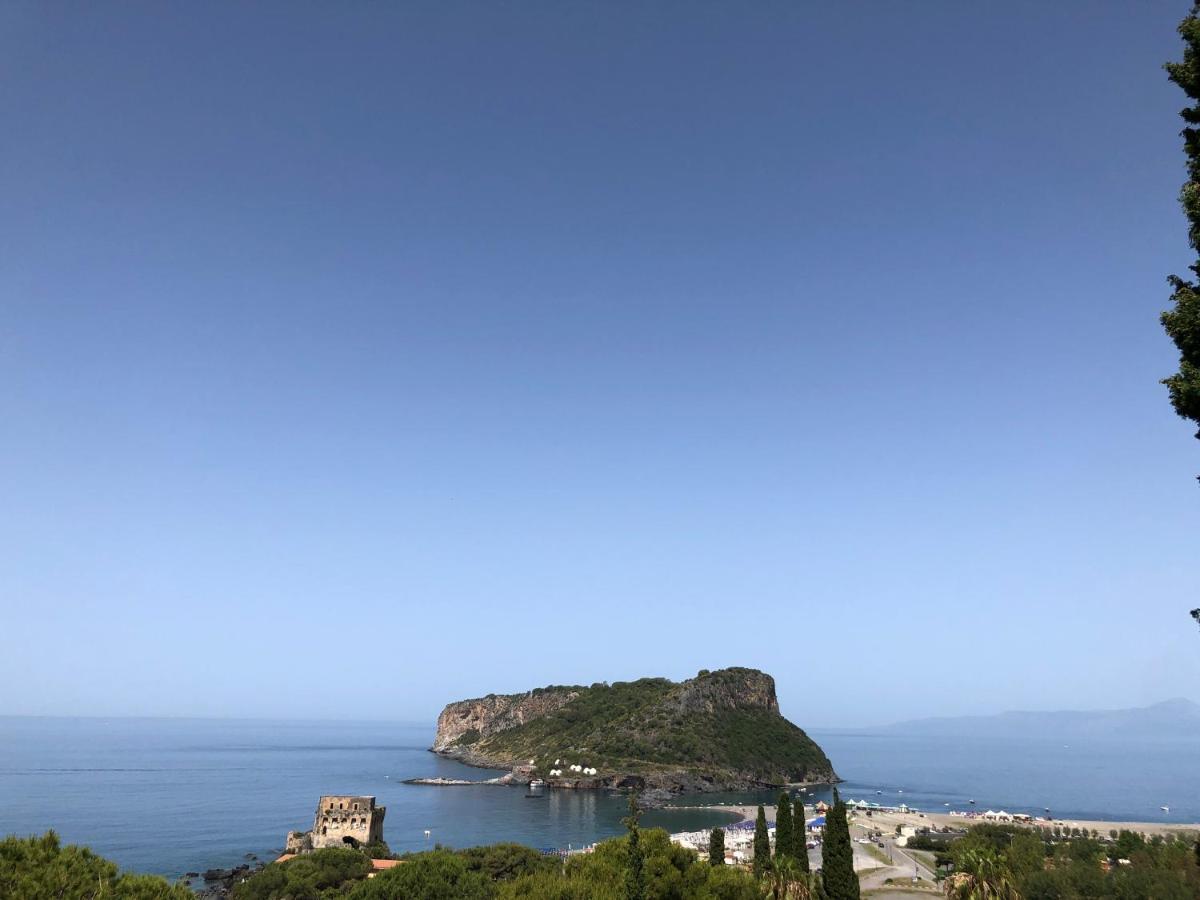 Villa Nappi Bed & Breakfast プラーイア・ア・マーレ エクステリア 写真